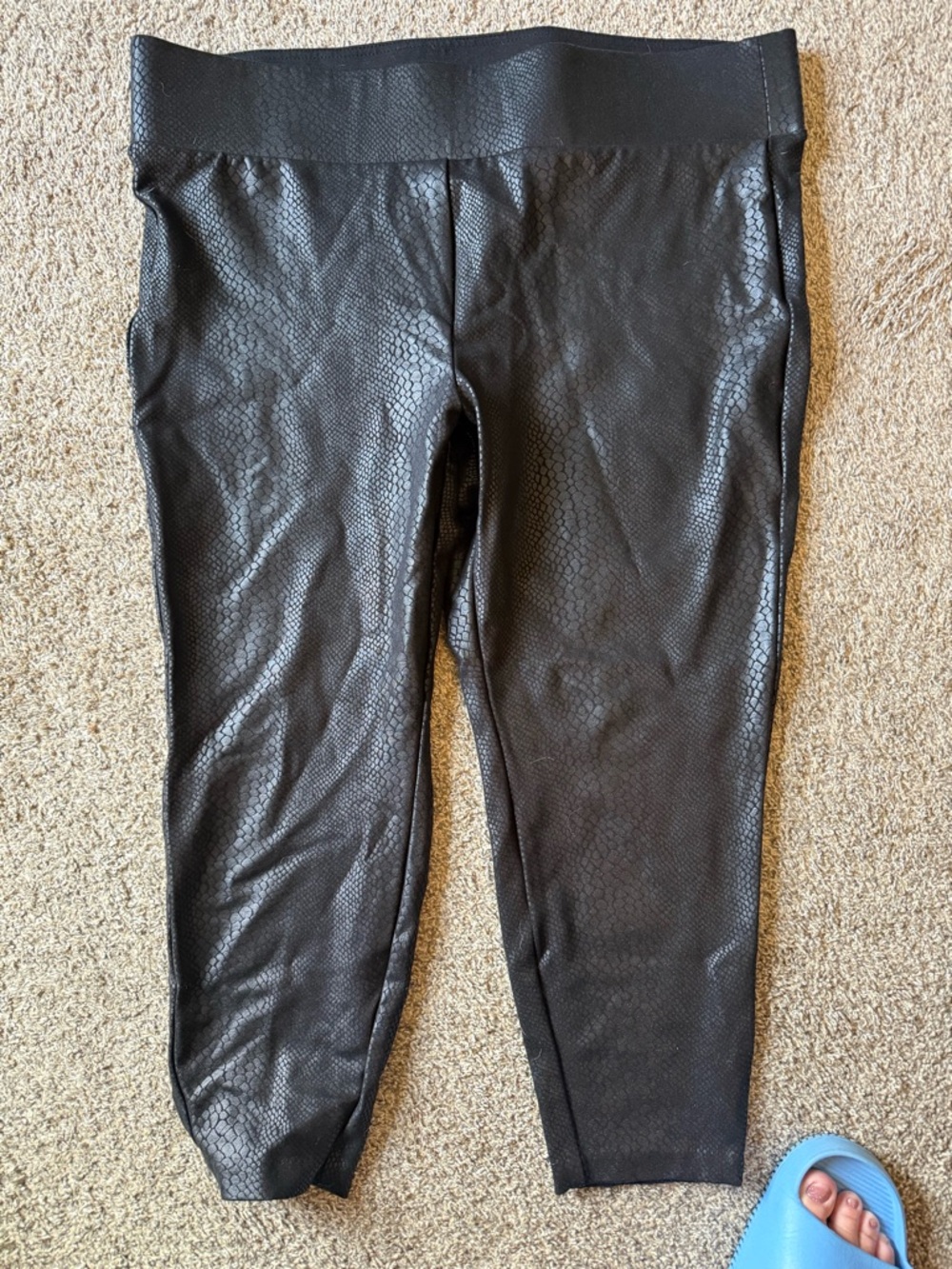 torrid Black Pixie High-Waist Leggings